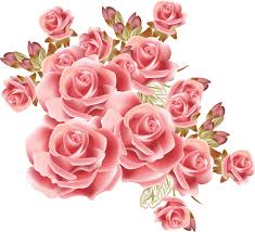 pink rose png rose png transpa
