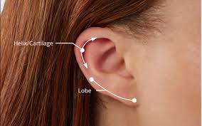 banter ear piercing fashion jewelry