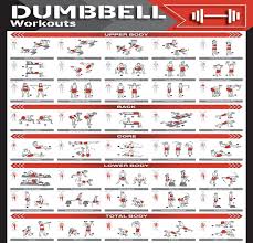 dumbbell workout chart fitcozi