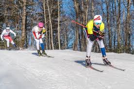 Image result for on the move skis