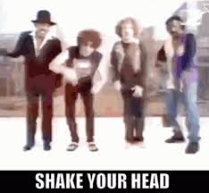 shake your head was not was gif shake