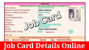 Job Card Details Online Check Hindi By Tik Tok Help Youtube