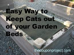 keep cats out of your garden