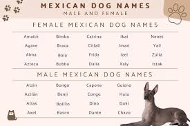 200 mexican dog names male and
