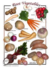 Identifying Root Vegetables View Thousands Of Amazing
