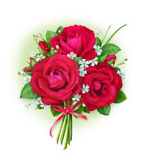 beautiful bouquet of red roses drawing