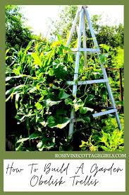 how to build a garden obelisk trellis