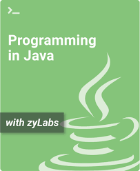 programming in java zybooks