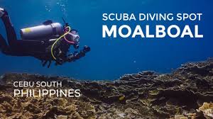 our scuba diving experience in moalboal