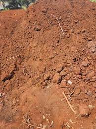 brown powder garden soil