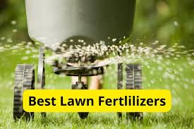8 best lawn fertilizers of 2023