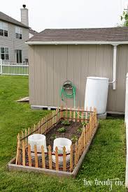rain barrel how to harvesting rainwater