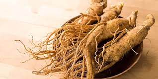 Cara nyeduh akar ginseng kering sangat penting jika kita salah dalam penyeduhan maka akar ginseng yang kita seduh cepat berlendir dan menimbulkan aroma yang. 7 Obat Kuat Alami Yang Bikin Pria Tahan Lama Di Ranjang