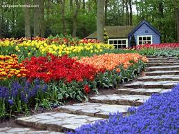 spring spring nature beautiful garden