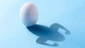 eating eggs after a workout