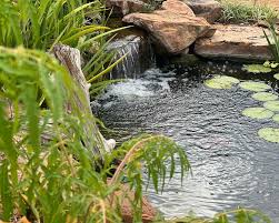 koi pond skimmer what is it and how