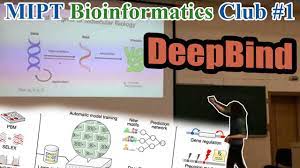 MIPT Bioinformatics Club #1. DeepBind - Predicting the sequence  specificities of binding proteins - YouTube