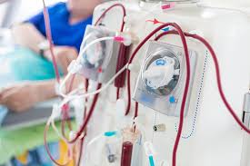 what is working as a dialysis nurse