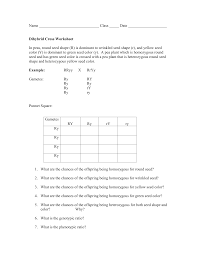 Transcribed image text from this question. Name Class Date Dihybrid Cross Worksheet In Peas Round
