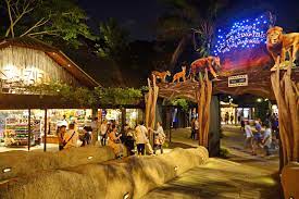 However, if you are interested in viewing nocturnal animals, the singapore night safari park is the perfect place to go to. Singapore Night Safari Ethical Wildlife Attraction At Singapore Zoo Go Guides