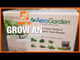 How To Grow An Indoor Hydroponic Garden