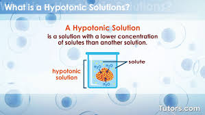 hypotonic solution definition uses