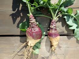 9 interesting benefits of rutabaga