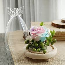glass cloche dome bell jar with rose