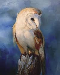 Barn Owl Print Owl Canvas Owl Home