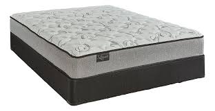 divine plush twin mattress set