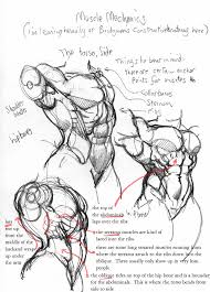If you said yes to any of these questions, then it's time for you to dive into the human anatomy for artists. Anatomy Torso By Jebriodo On Deviantart