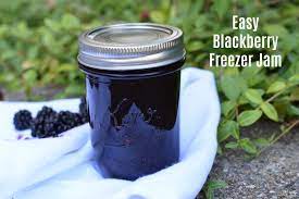 blackberry freezer jam toddler test