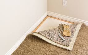 why is carpet padding or cushioning