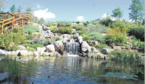 Le bassin de régénération : Journee Portes Ouvertes Sur Les Jardins Aquatiques Acces Laurentides