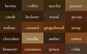 Different Shades Of Brown Bing Images Brown Shades