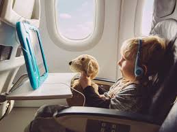 Flying With A Toddler Here S