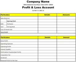 pvt ltd company balance sheet format in