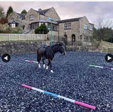 equestrian arena surface 100 carpet