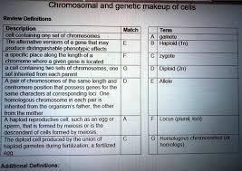 chromosomal and genetic makeup of cells