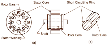 what is squirrel cage induction motor