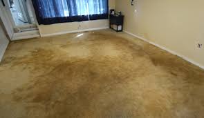 carpet discoloration repair in