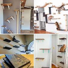 Diy Cat Shelves Cat Wall