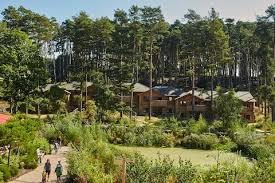Center Parcs Woburn Forest Review The Best Activities For Young