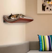 The 10 Best Cat Wall Shelves Of 2022