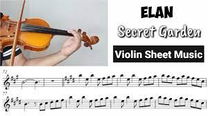 violin cover with sheet