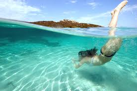 Image result for photos of swimming in the ocean