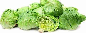 pickled iceberg lettuce 4 reasons why