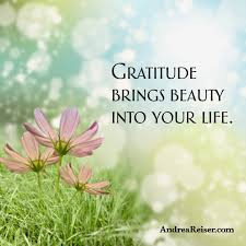 Image result for beautiful motivational gratitude quotes