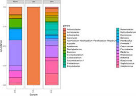 The Cultivable Bacterial Microbiota Associated to the ... - Frontiers