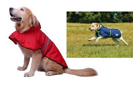 The 10 Best Waterproof Dog Coats And Comfy Puppy Jackets In